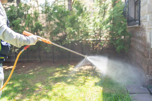 Best Cockroach Control Services  in Ainaloa, HI