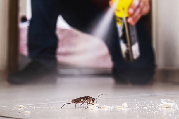 Best Pest Inspection Near Me  in Ainaloa, HI